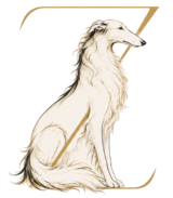 Zoi Digital logo